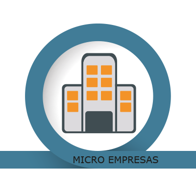 Micro Empresas Micro Empresas